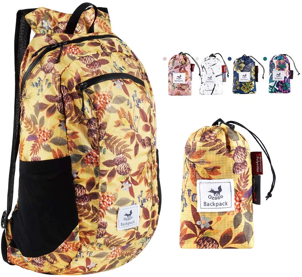 Lightweight and Foldable Daypa - Packable Daypack Foldable review and price